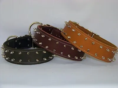 2 Inch-Wide Top Quality Leather Dog Collar W/ Double Row Spikes      Made In USA • $54.95