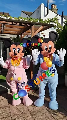 Hire GENDER REVEAL Baby Shower Disney Mascot Costume Fancy Dress Special • £100