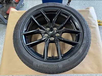 2024 Ford Mustang GT 5.0 19x8.5  Wheel Rim Continental 255/40/19 • $200