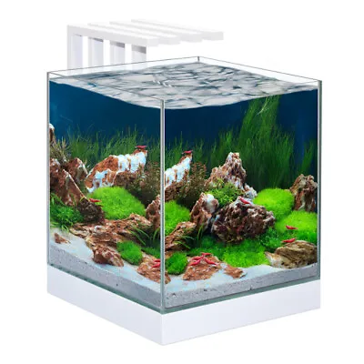 Ciano Shrimp & Small Fish Aquarium Tank NEXUS Pure 25 & Led Lighting 22L • £79.95