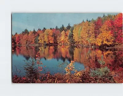 Postcard Picturesque Autumn Scene Greetings From Mohawk Trail Massachusetts USA • $3.49