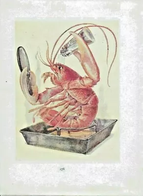 £10.99 • Buy Alice In Wonderland Circa 1916. Antique Book Print. Margaret Tarrant - Art Décor