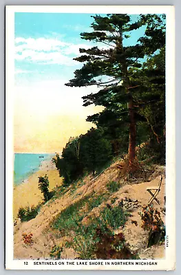 Vintage Postcard MI Northern Michigan Sentinels Lake Shore White Border ~8260 • $1.65