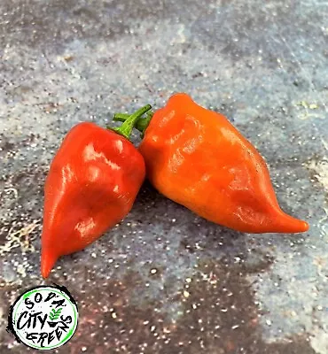 Habanada Heatless Habanero Pepper Seeds 10+ • $4.99