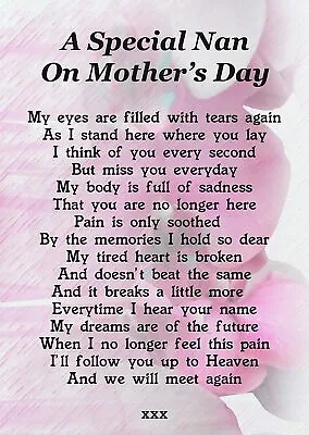 A Special Nan On Mother's Day Memorial Graveside Poem Card & Free Stake F195 • £3.29