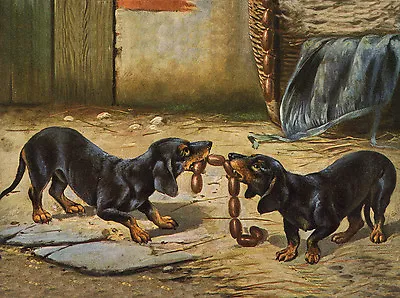 Dachshund Charming Dog Greetings Note Card Two Cute Dogs With String Of Sausages • $3.11