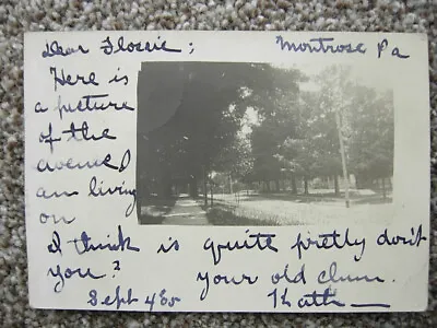 Rppc-montrose Pa-avenue-real Photo-1905-susquehanna County Pennsylvania • $8.95