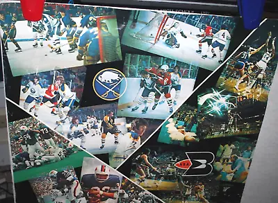 Vintage Buffalo Pro Sports Poster Sabres Bills Buffalo Braves NBA NFL NHL 22x26 • $49.95