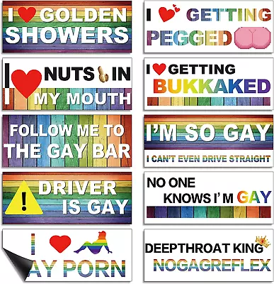 Pack Of 10 LGBT Rainbow Bumper Sticker Funny Prank Gag Gift Magnetic Decal Funny • $15.71