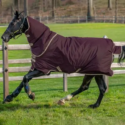 £80.95 • Buy Amigo Hero 600D With Ripstop Plus 0g Turnout Horse Rug - Fig/Navy/Tan