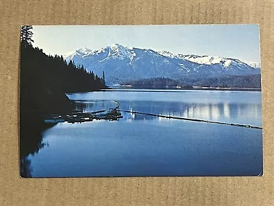Postcard Trinity Lake California Scenic Mountain View Vintage CA • $4.99