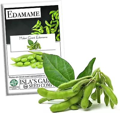 Midori Giant Edamame Seeds For Planting 25+ Heirloom Seeds Per Packet () Non  • $8.69