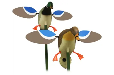 $119.99 • Buy 2 DECOYS BABY MOJO MALLARD DRAKE And HEN COMBO MOTORIZED SPINNING MAGNETIC WINGS