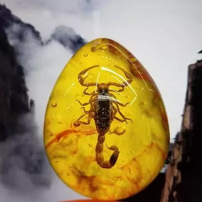 1 X Beautiful Amber Scorpion Fossil Insects Manual Polishing Natural Rough Amber • £2.84