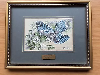 BLUE JAY Woven Silk Picture J & J Cash Collectors Range  Birds Coventry VTG VGC • £11.99