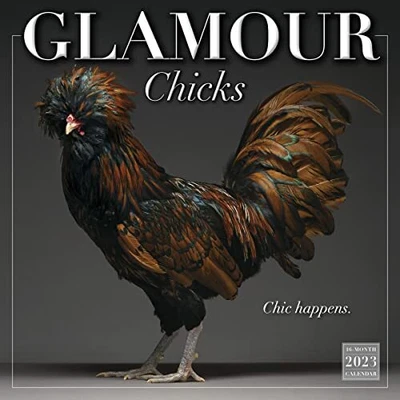 £23.99 • Buy Glamour Chicks September 2022-Decembe..., MONTI, MORENO
