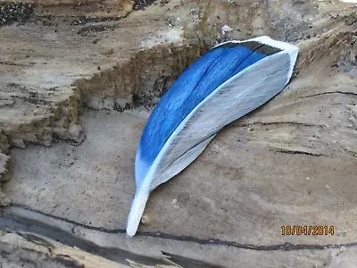 Wooden Carved And Painted Mallard Drake Feather Pin By Robert Lis Master Carver • $35