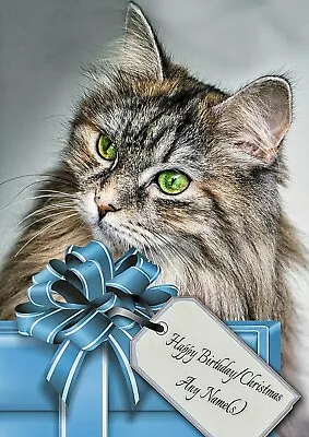 Personalised Longhaired Tabby Cat Christmas Or Birthday Card  + Illus Insert • £3.99