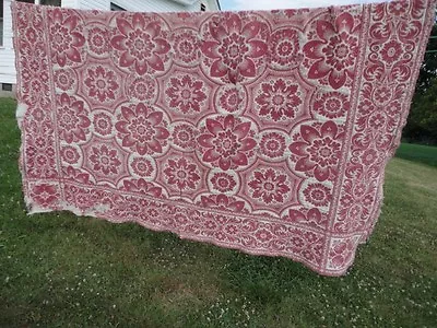 $146 • Buy Coverlet Early Hand Double Woven Primitive Condition Burgundy/wine/white Antique