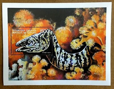 VINTAGE CLASSICS - Comoros 1999 - Moray Eel Wildlife - Souvenir Sheet - MNH • $0.99
