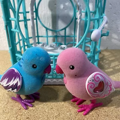 Little Live Pets Lot Of 2 Birds In Birdcage Swing Working Rare Color Blue Pink • $11