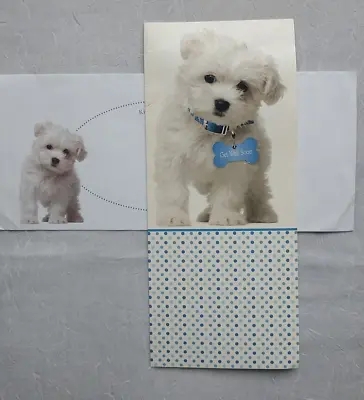 Maltese White Fluffy Puppy Get Well Soon! Greeting Card • $2.95