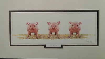 £19.95 • Buy Odd One Out By Warwick Higgs Pig Piglets Mounted