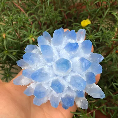 300g+ New Find Blue Phantom Quartz Crystal Cluster Mineral Specimen Healing Gift • $36.10