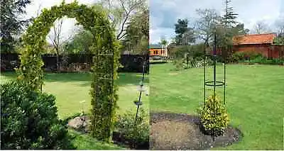 Garden Arch And Garden Obelisk Metal Trellis Climber Plant Climbing Roses Way... • £25.90