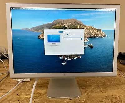 Apple Cinema Display 20-inch DVI (M9177LL/A) • $85