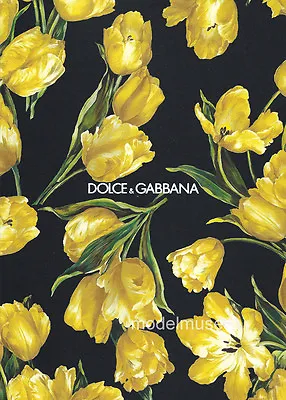 DOLCE & GABBANA Fall 2016 Women's Accessories Collection CATALOG • $50