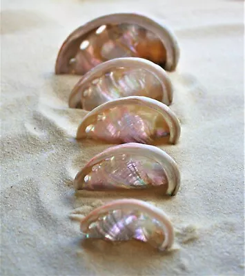 Assorted Natural Mixed Pink Rainbow Galaxy Abalone Sea Shells Crafts 300 Grams • £9.99