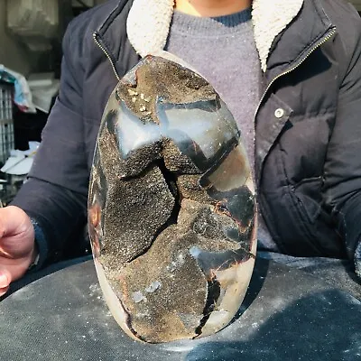 4.51LB Natural Dragon Septarian Geode Quartz Cluster Crystal Egg Healing 2050g • $6.66