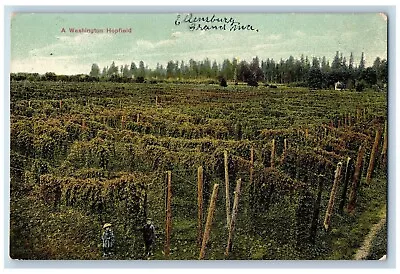 Ellensburg Washington WA Postcard Hopfield Exterior Field 1909 Vintage Antique • $19.47