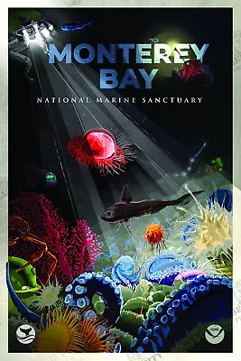 Monterey Bay National Marine Sanctuary System Poster NOAA Oceanic Prints • $70