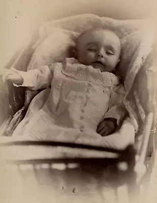 Antique Photo Cabinet Card POSTMORTEM LITTLE BABY CHILD AMERICAN EAGLE CLEVELAND • $49.95