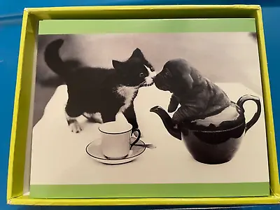(19) MARCEL SCHURMAN Dog & Cat Blank NOTE CARDS Set - PUPPY & KITTEN - ADORABLE! • $7.99