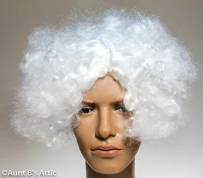 Mad Scientist Wig White Center Part Wedge Cut Curly Synthetic Costume Wig • $14.98