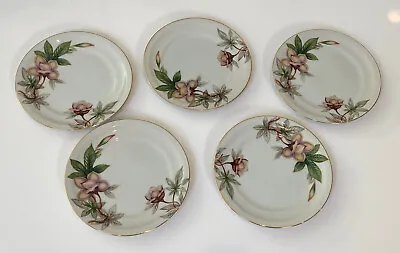 5 Dessert Plates 6-3/8  Ivory Meito China Woodrose Japan • $29.99