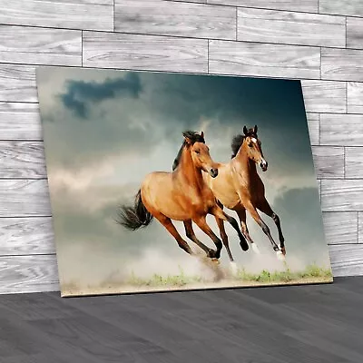 Young Horses Exploring The Fascinating Family Original Canvas Print Large • £21.95