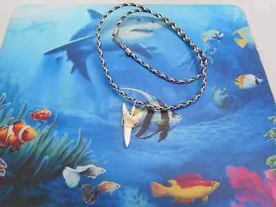 Genuine 1 3/8  Mako Shark Tooth Paracord Necklace Beachwear Surf Wear • $14