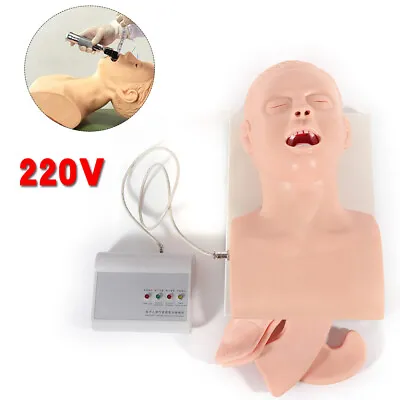 $239 • Buy Airway Management Trainer Adult Intubation Manikin Lab Study Teaching Model 220V