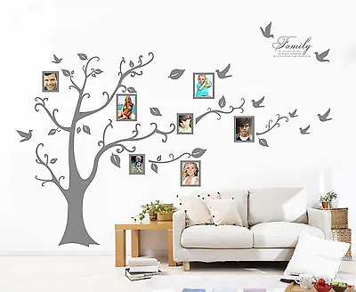 X-Large Family Tree Bird Photo Frame Wall Quote Art Wall Stickers UK RUI157 • £33.87