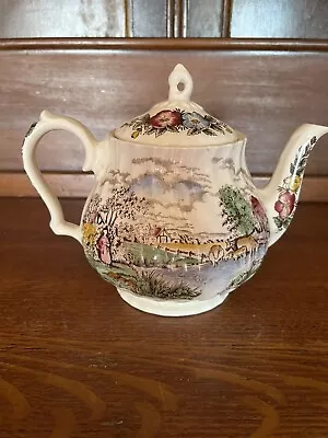 Sadler Country Life Pattern Teapot Full Size Vintage Teapot English Teapot • $65