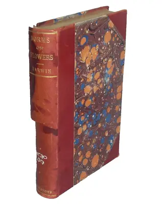 1895 Charles DARWIN - Different Forms Of Flowers - Plants Evolution Botany • $50