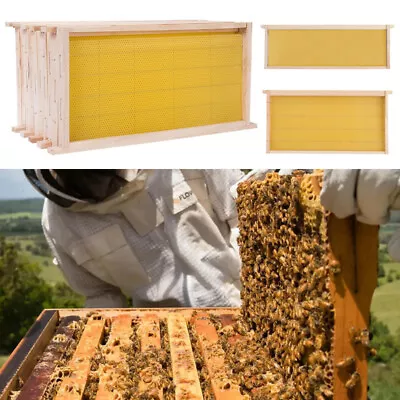 National Beehive Wax Assembled Super&Brood Bee Hive Frames Sheet Beekeeping Kits • £35.95