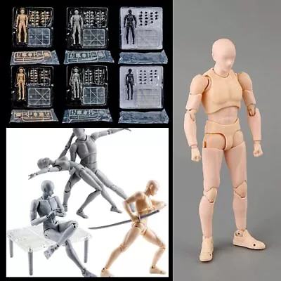 Movable Draw Mannequin Male Female Body Chan Joint Anime Figure  Sketch Draw • $22.79
