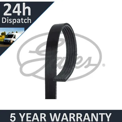 £12.12 • Buy Gates V-Ribbed Belts For Peugeot 106 Citroen Saxo Ford Escort 5Yr Warranty G3016