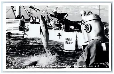 Feeding Time Marine Studios Marineland Florida FL Cline RPPC Photo Postcard • $29.95