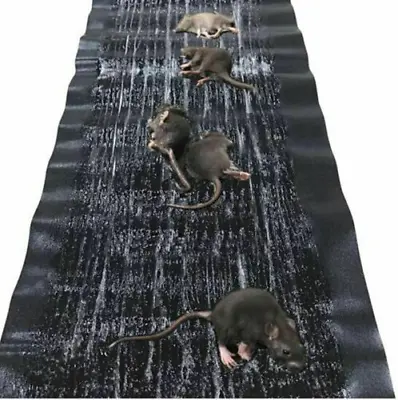 10pcs Big Size Catcher Rat Glue Rodent Board Mice Indoor Super Sticky Mouse Trap • $24.09